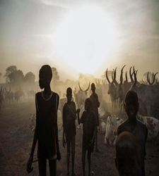 ninossudan.jpg
