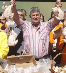 UPA-pollos-gratis-madrid.jpg