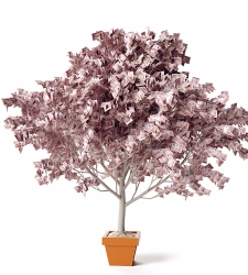 dinero-arbol-getty.jpg