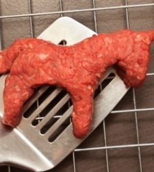 carne-caballo225.jpg