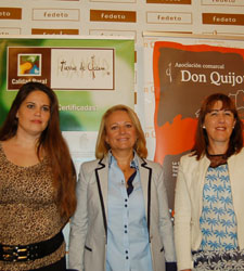 quijote