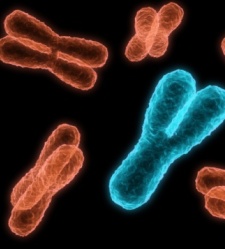 cromosomas-thinkstock.jpg