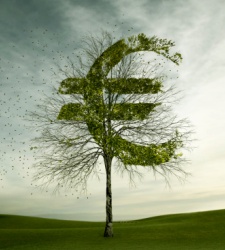 Euro-arbol.jpg