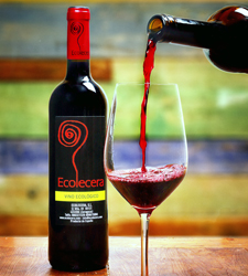 ecoleceravino