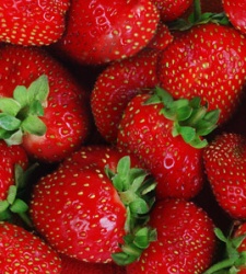 fresas.jpg