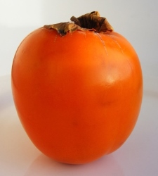 caqui225.jpg