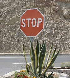 stop.jpg