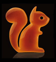 orange-ardilla.jpg