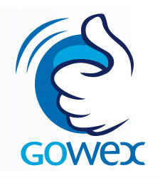 gowex-2.jpg