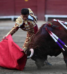 torero.jpg