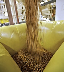 almendras-bloomberg.jpg