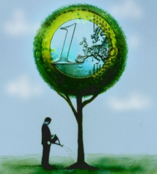 euro arbol