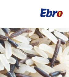 Ebro.jpg
