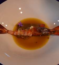 gamba