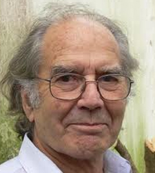 perez esquivel