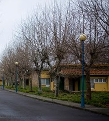 perlora-ciudad.jpg