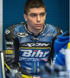 Marinelarena-alex.jpg