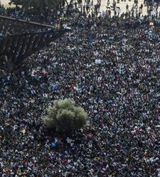 protestastelaviv.jpg