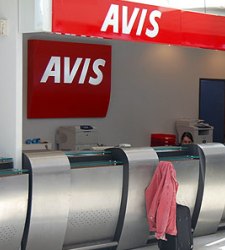 avis.jpg