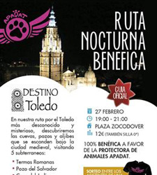 Ruta nocturna benéfica