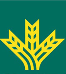 caja rural