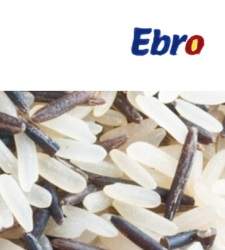 Ebro.jpg