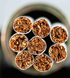 tabaco