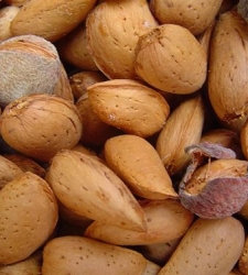almendras.jpg