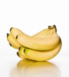 platanos-fondoblanco.JPG