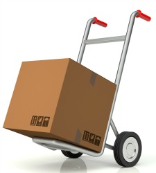 paquete-carro.jpg