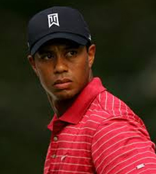 woods.jpg