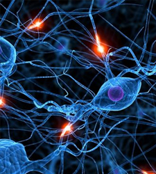 neuronas.jpg