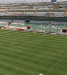 ElcheEstadio225.jpg