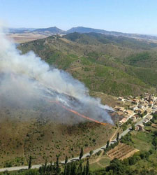 Incendio forestal