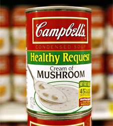 campbell.jpg