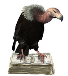buitre-dolares.jpg