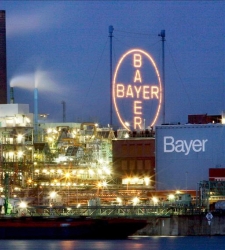 bayer-empresa.jpg