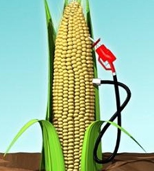 biocombustilee.jpg