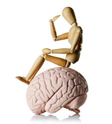 cerebro-muneco.jpg
