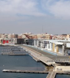 MarinaRealbasesRoig225gl.jpg