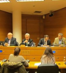 CAMComisionCorts225.jpg