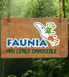 faunia.jpg