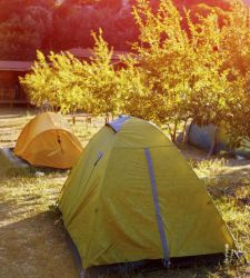 camping.jpg