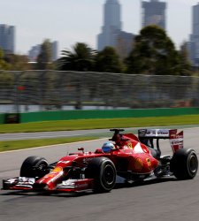 alonso-australia-2014.jpg