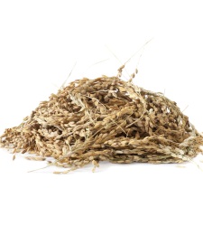 arroz-cascara.jpg