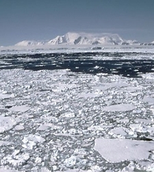 225x250_cambio-climatico-efe.jpg