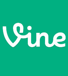 vine-3.jpeg
