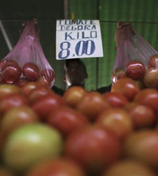 alimentación