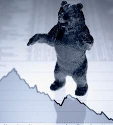 Oso-grafica.jpg