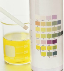 azulejos-colores.jpg